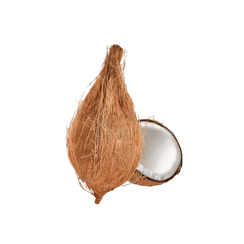 1 Piece Fresh Coconut