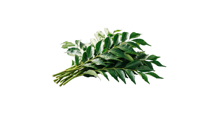Fresh Karee Patta (Curry Leaves)