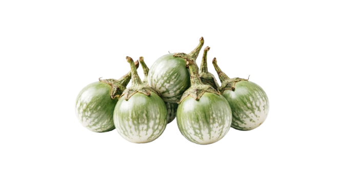 250g Fresh Aubergine (green & round)