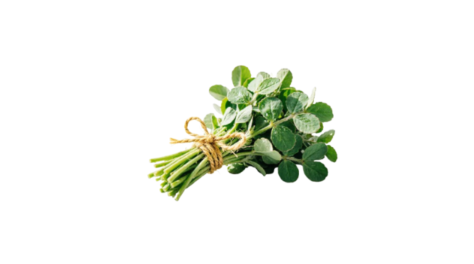 1 Bunch Fresh Methi (Fenugreek)